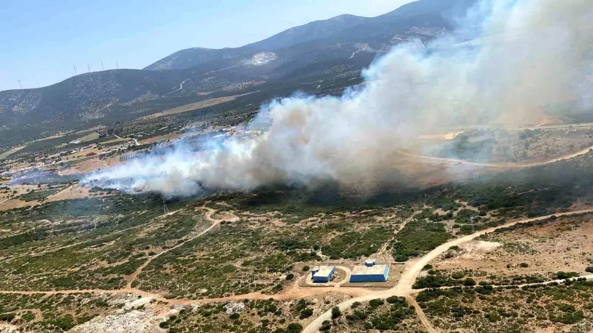 Didim’de Makilik Yangınına Ekiplerin Müdahaleleri Sürüyor