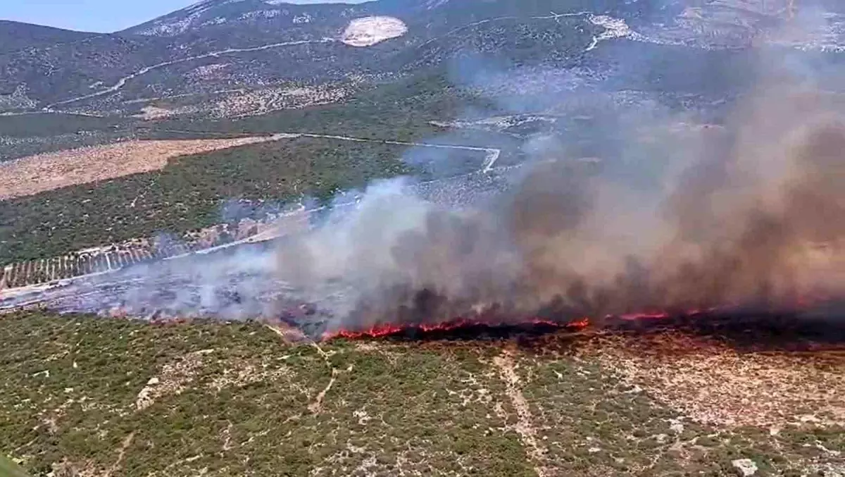 Didim Makilik Yangını Kontrol Altına Alınmaya Çalışılıyor