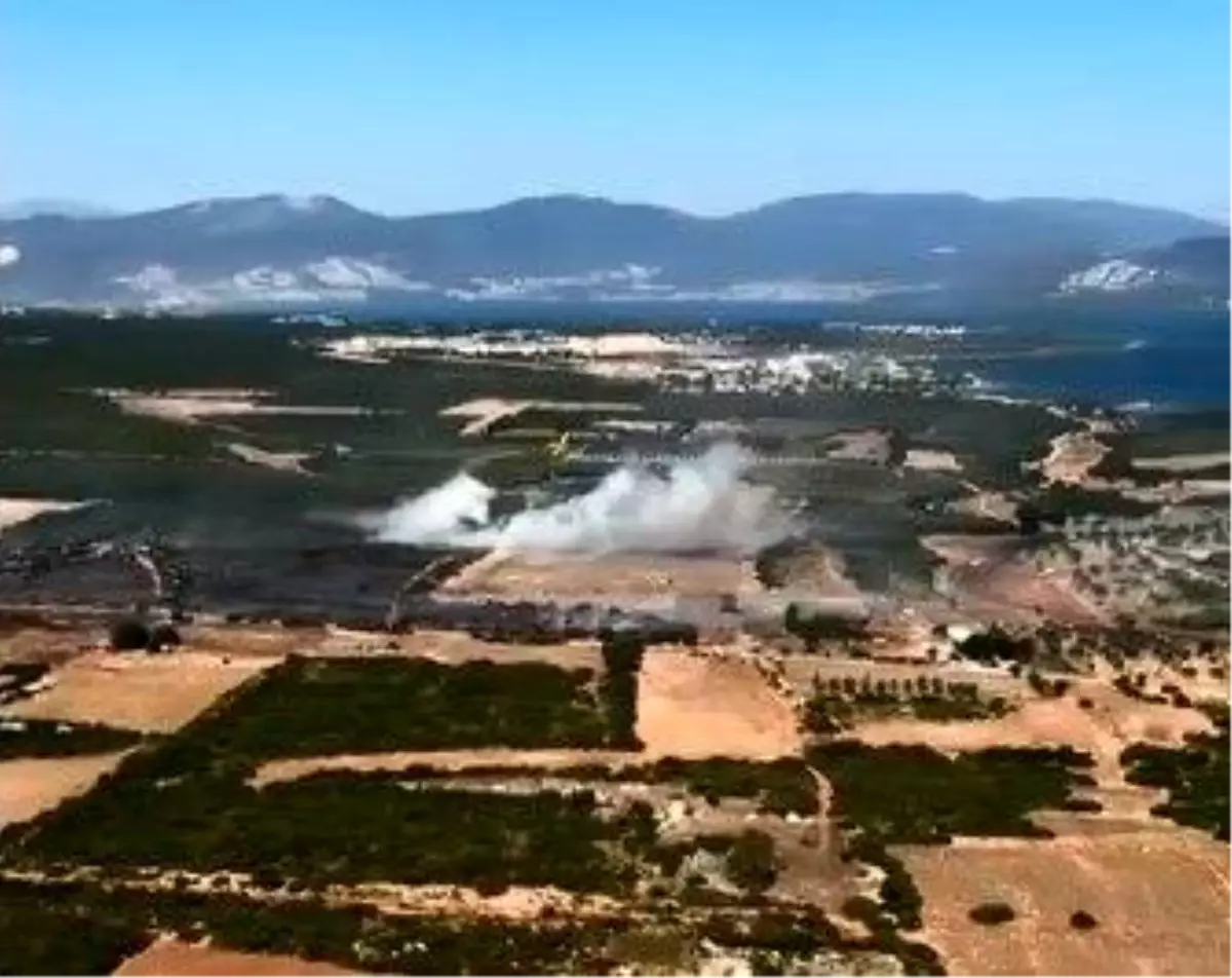 “Aydın’da Makilik Yangın Kontrol Altına Alındı”