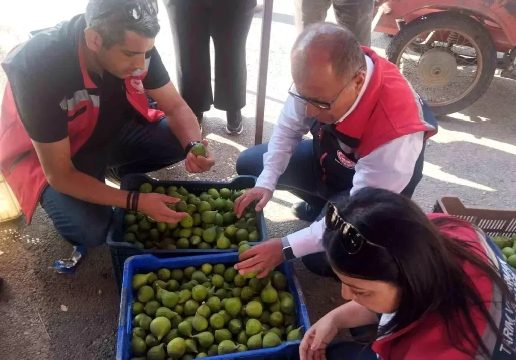 İncir İlek Pazarında Denetimler Sıklaştı
