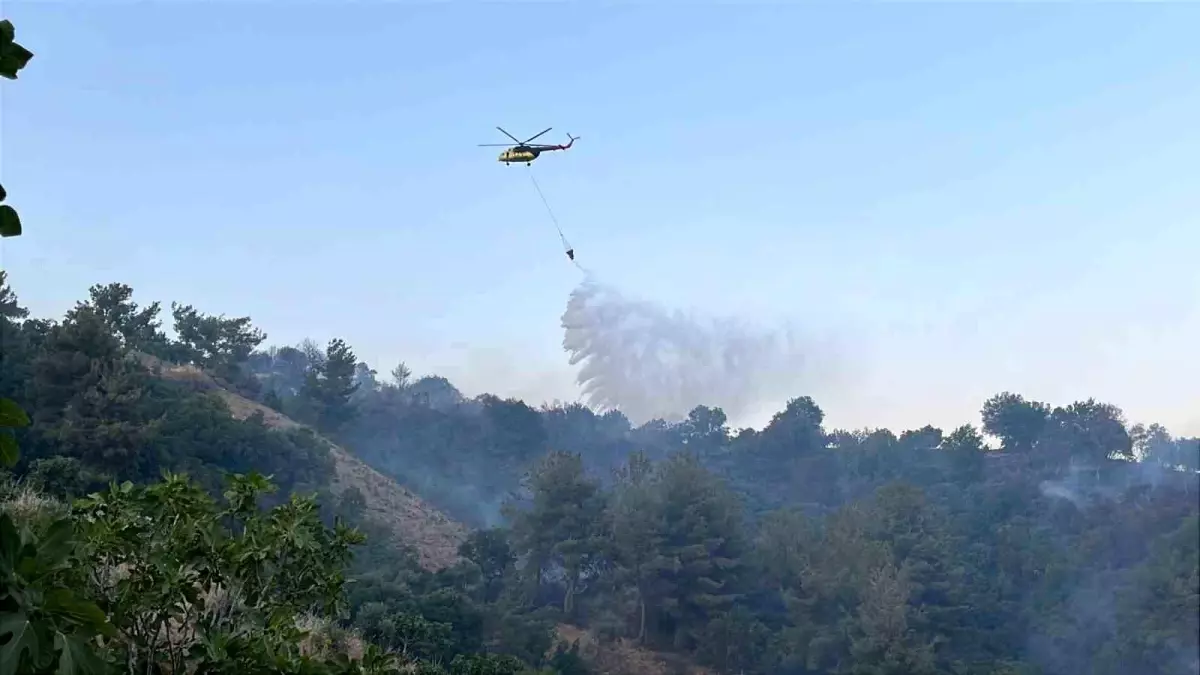 Yangın Kontrol Altına Alınmaya Başlandı