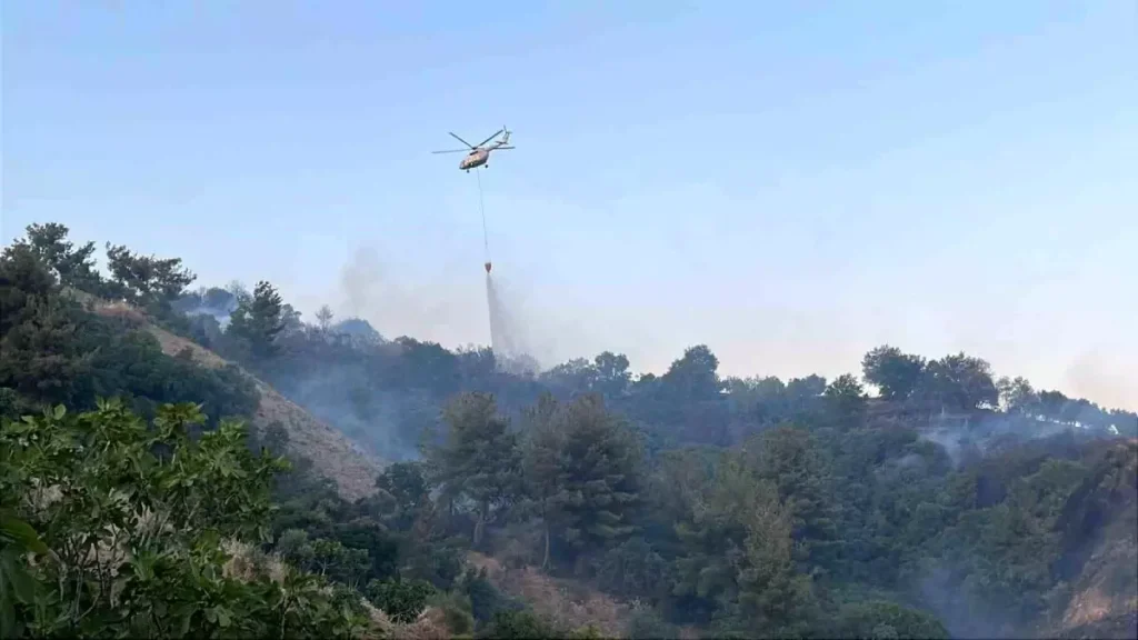 **Aydın’da Orman Yangını Kontrol Altına Alındı**