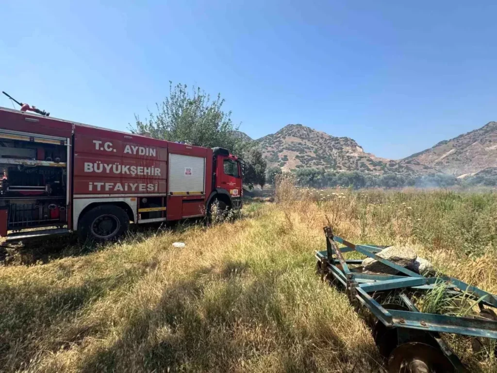 Zirai Alanda Yangın: Zeytin Ağaçları Zarar Gördü