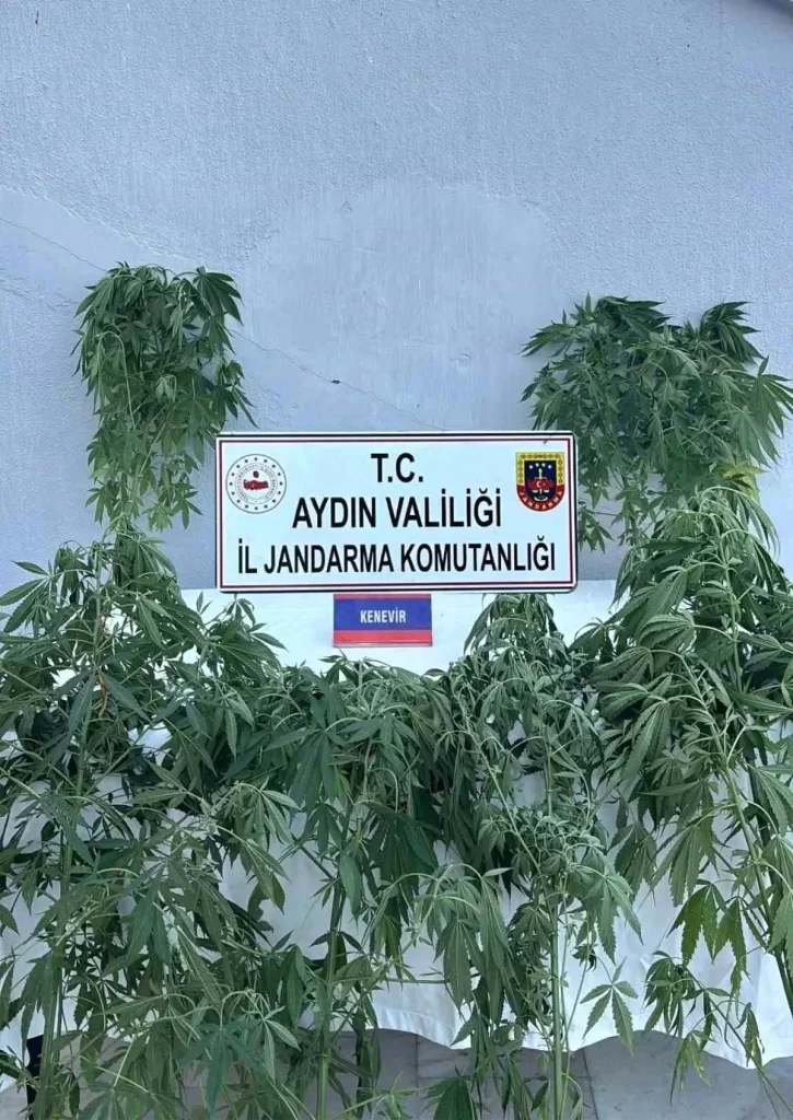 Aydın’da Büyük Uyuşturucu Operasyonu