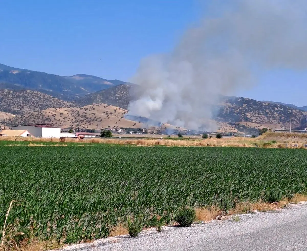 **Nazilli’de Zirai Alan Yangını Hızla Yayılıyor**