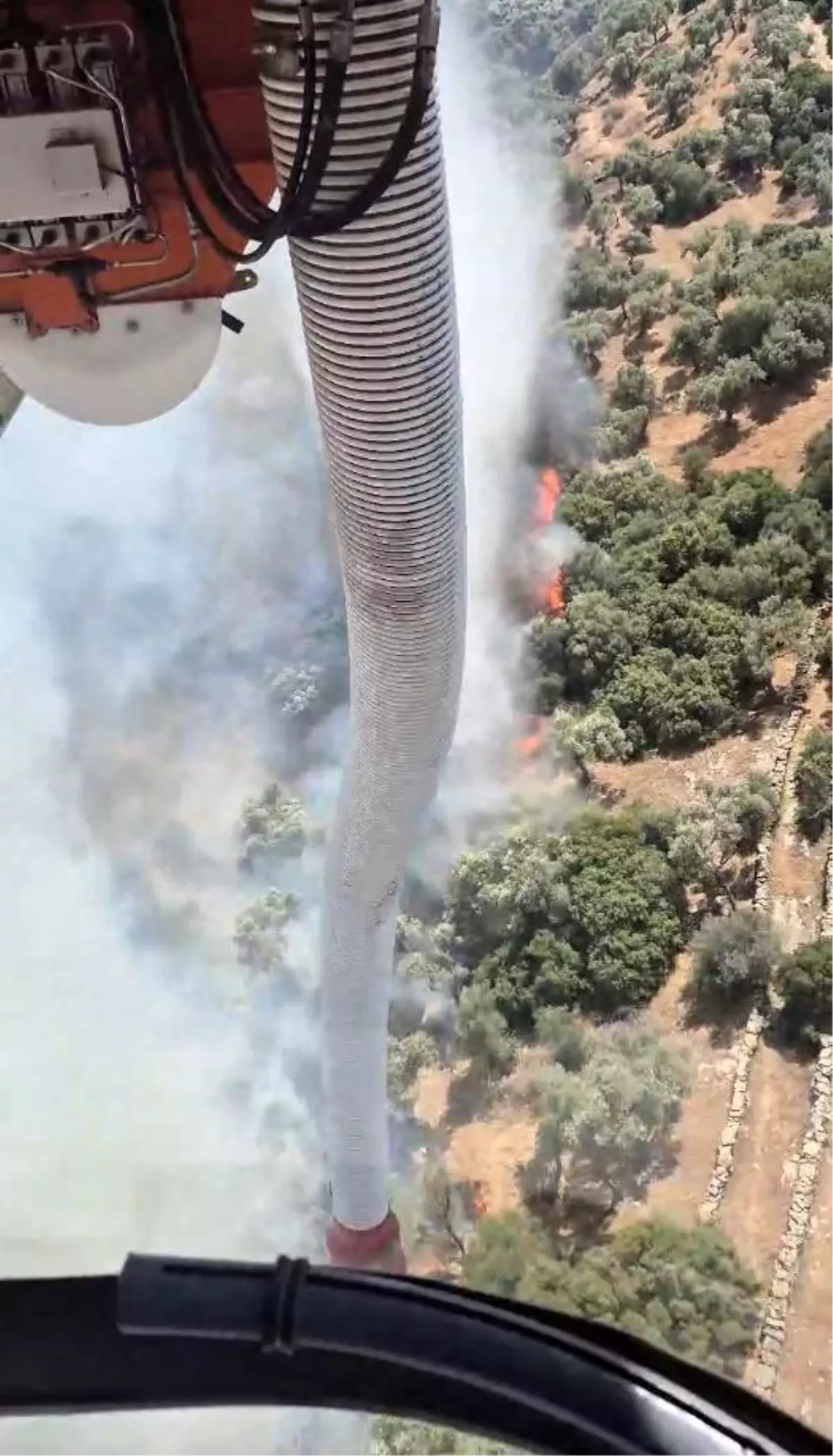 Söke’deki Zirai Alan Yangını Kontrol Altına Alınmaya Çalışılıyor