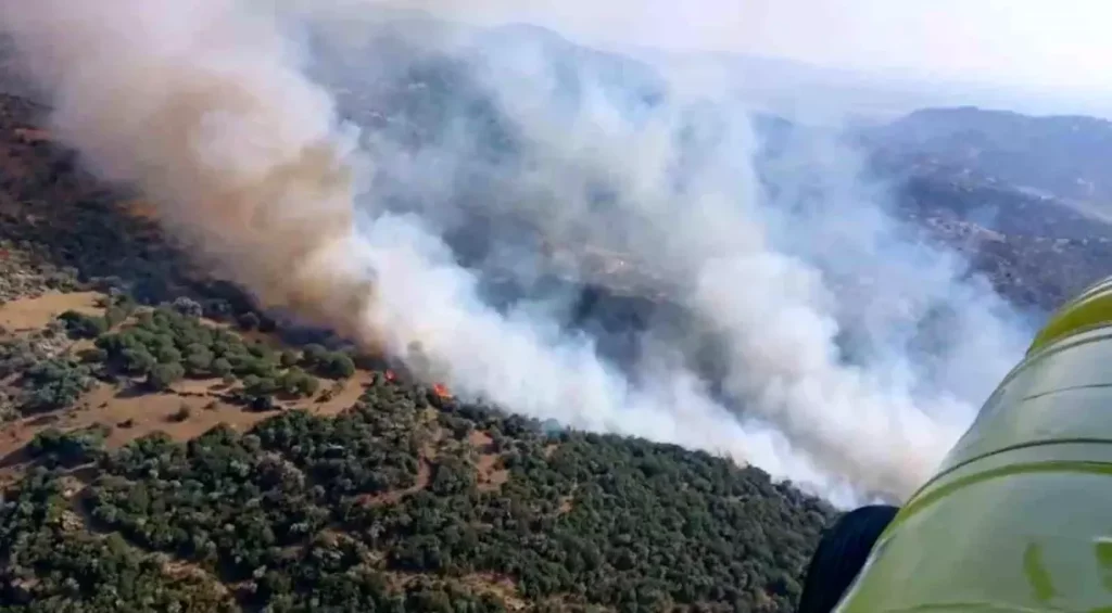 Ege Bölgesi’nde Zeytinlik Alan Yangını Kontrol Altına Alınmaya Çalışılıyor