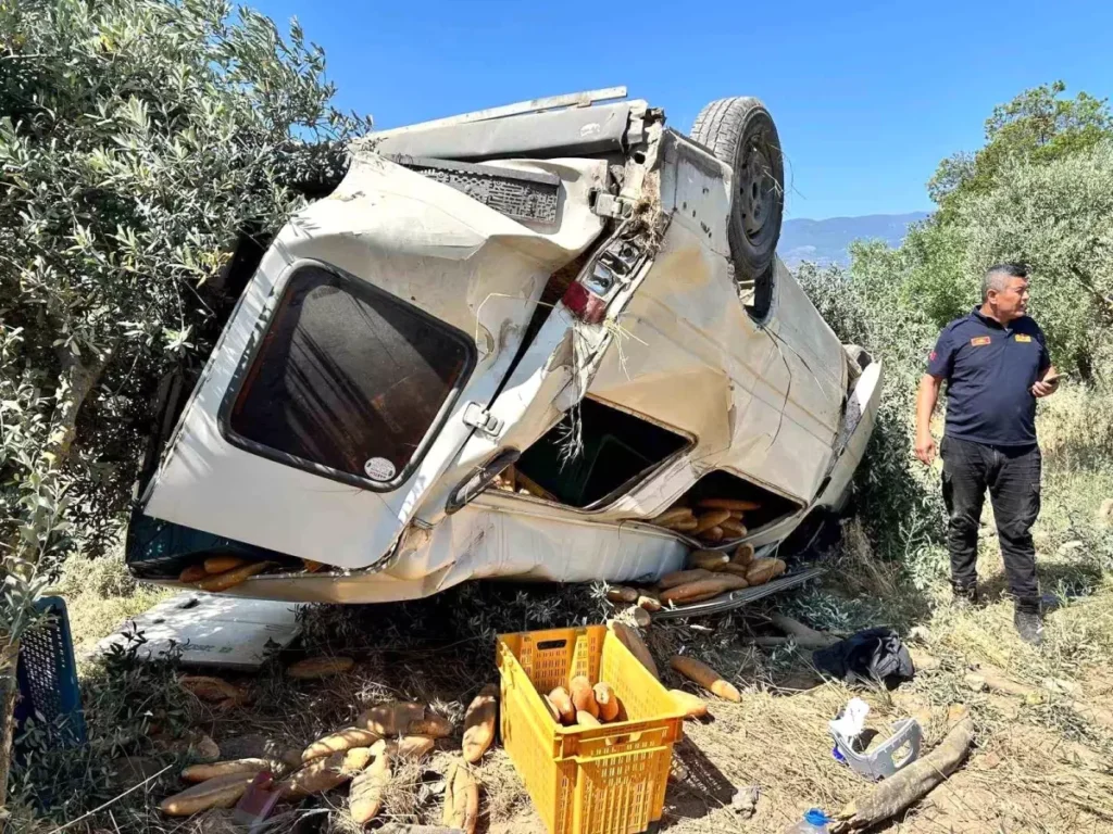 Ticari Araç Zeytinliğe Uçtu, Sürücü Hayatını Kaybetti