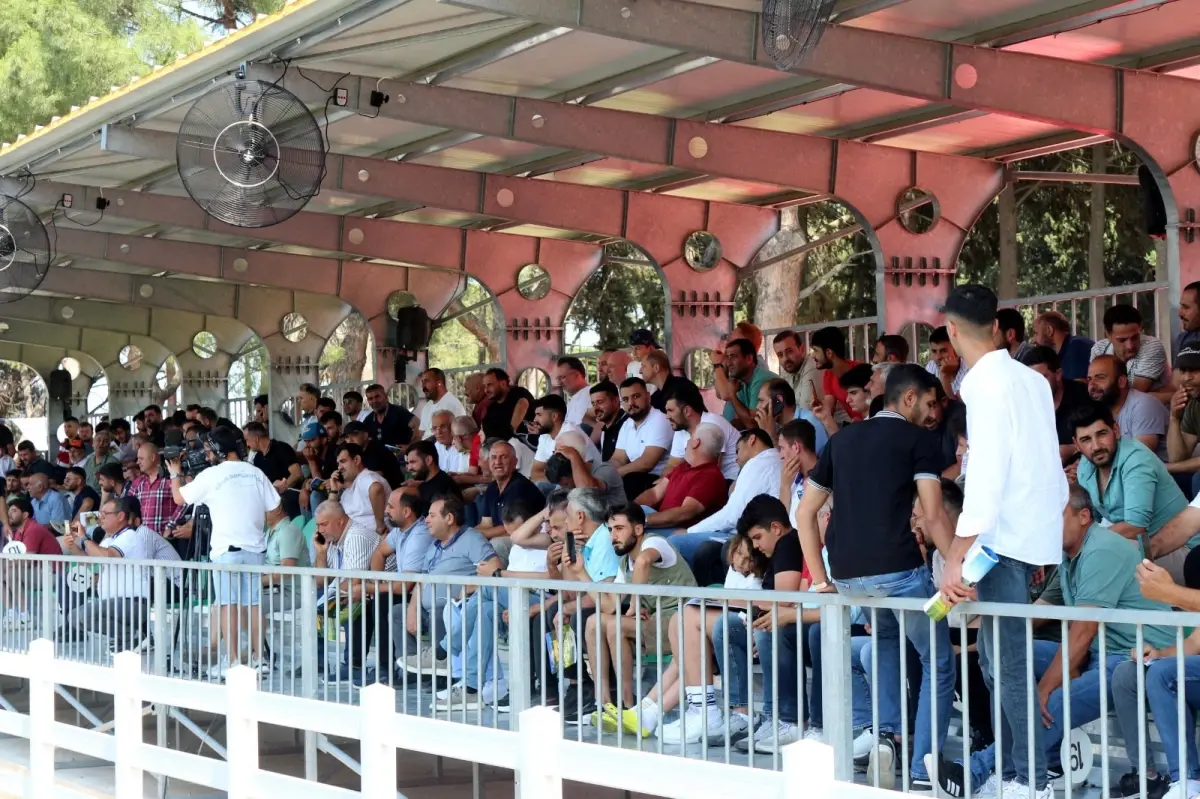 TİGEM Tay Satış Rekoru Kırdı: 31 Milyon Lira Gelir