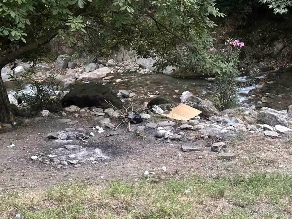 Ormanlık Alanda Mangal Yakana Yüksek Ceza