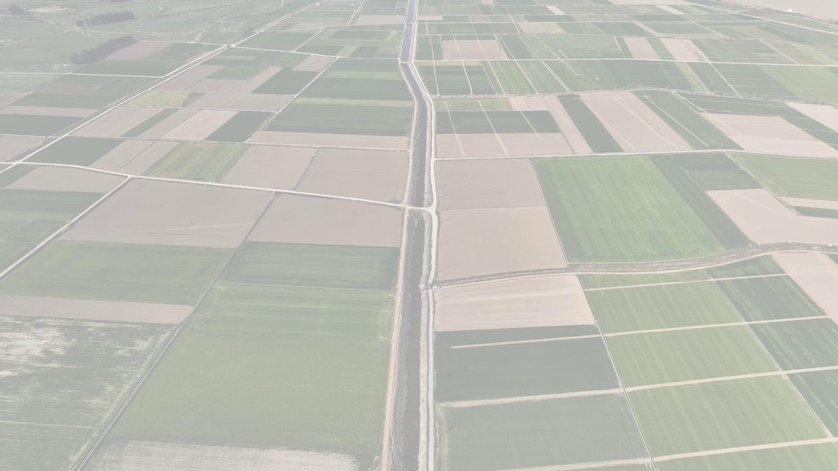 Aydın’da Tarla İçi Drenaj Çalışmaları Hız Kesmiyor