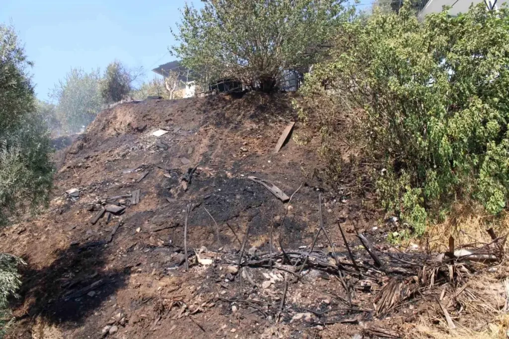 Yangın Tralleis Antik Kenti’ni Tehdit Etti, Kontrol Altına Alındı