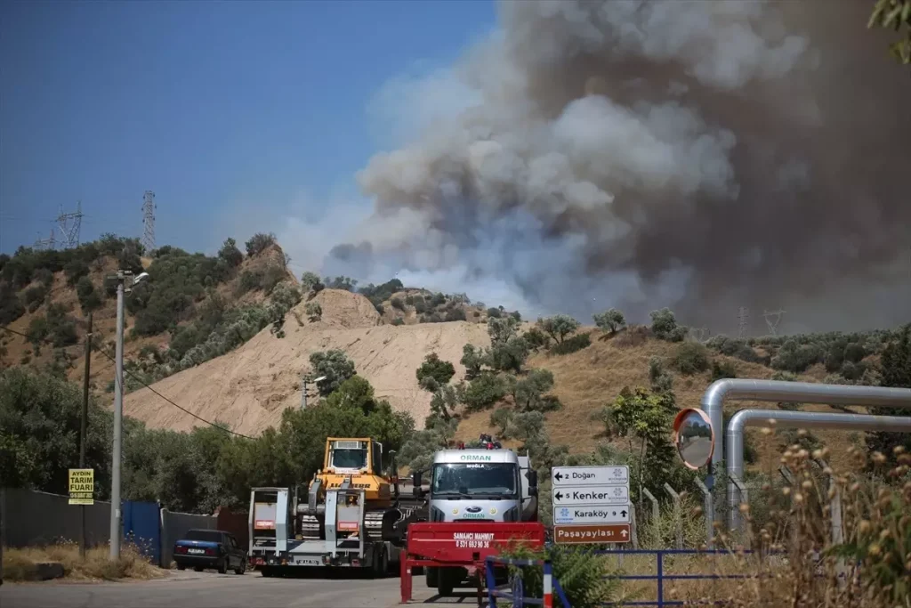 Aydın Efeler’de Ağaçlık Alanda Çıkan Yangın Kontrol Altına Alındı