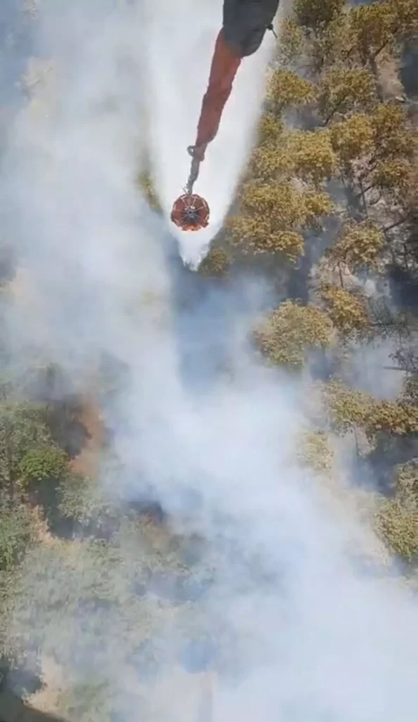 Ege Bölgesi’nde Orman Yangını: Çine’de Alevler Kontrolsüz