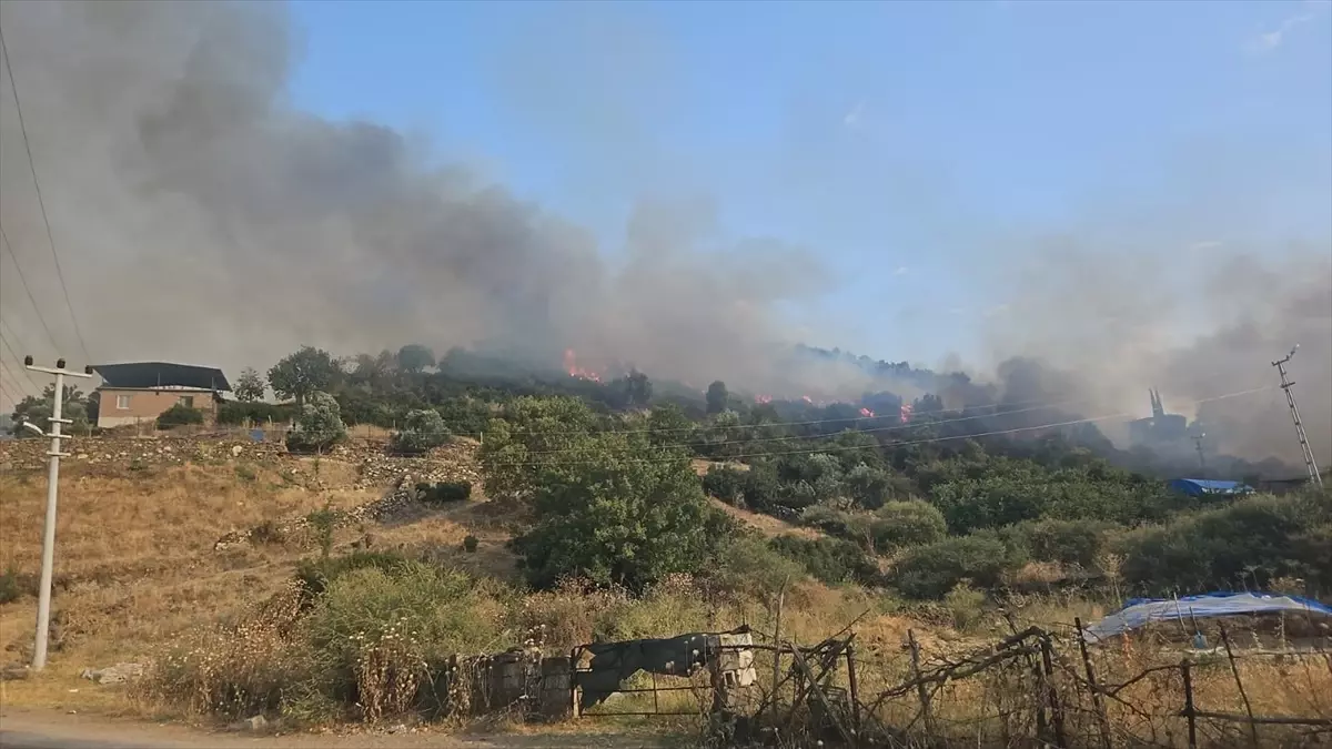 Tarım Alanında Yangın: 50 Dönüm Alan Zarar Gördü