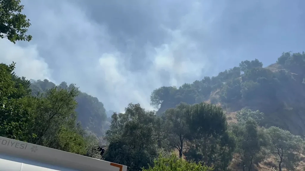 Tarım Arazisi Yangını Kontrol Altına Alındı