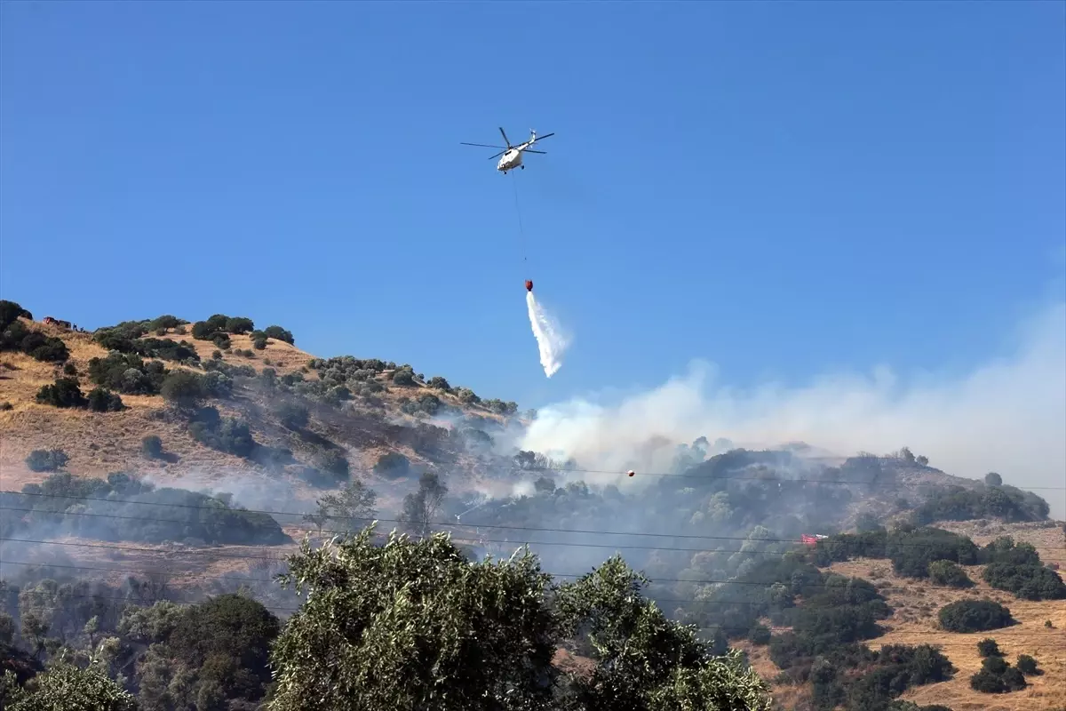 Zeytinlik Alanda Çıkan Yangın Kontrol Altına Alındı