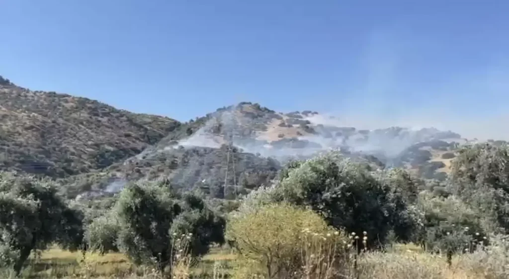 Zeytinlik Yangını Kontrol Altında: 30 Dönüm Zarar