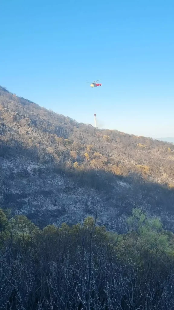 Orman Yangını Kontrol Altına Alındı