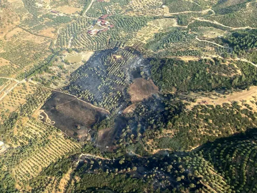 Yangın Kuyucak’ı Kuşattı: Ekipler Müdahale Etti