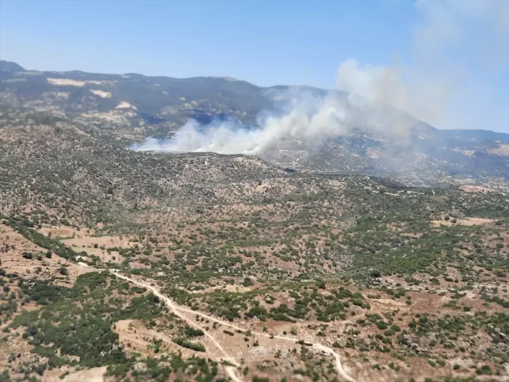 Aydın Çine’de Ziraat Alanı ve Makilik Yangını
