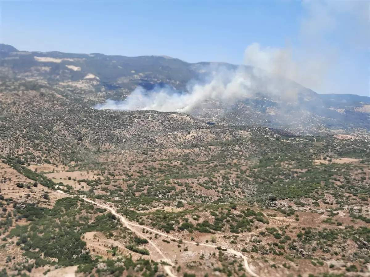 Aydın Çine’de Ziraat Alanı ve Makilik Yangını