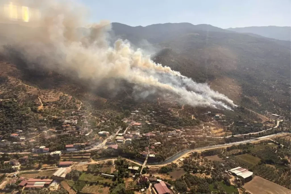 Aydın’da Yeni Orman Yangını