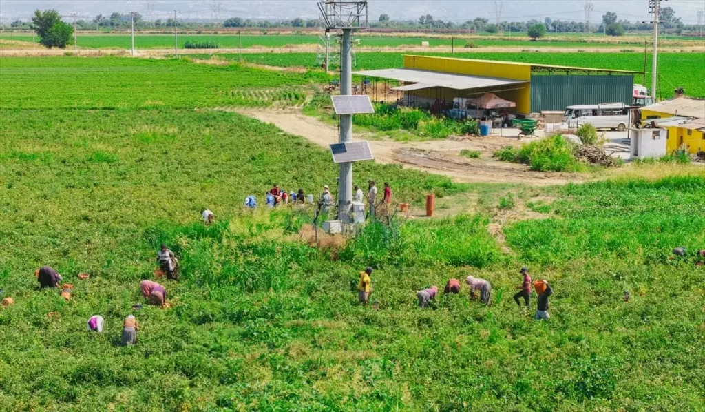 “Gençler Tarımın Zorlu Yolculuğuna Eşlik Etti”