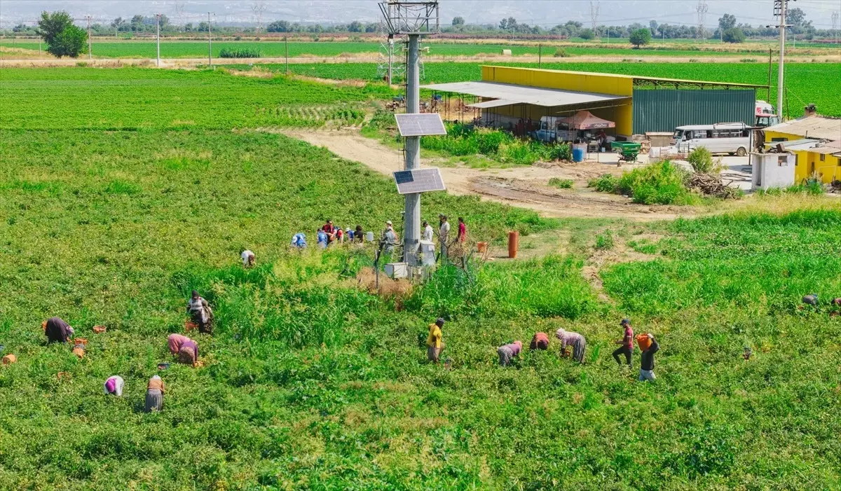 “Gençler Tarımın Zorlu Yolculuğuna Eşlik Etti”