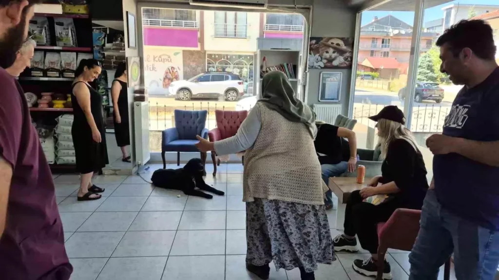 Kayıp Köpek Çip Sayesinde Sahibine Kavuştu