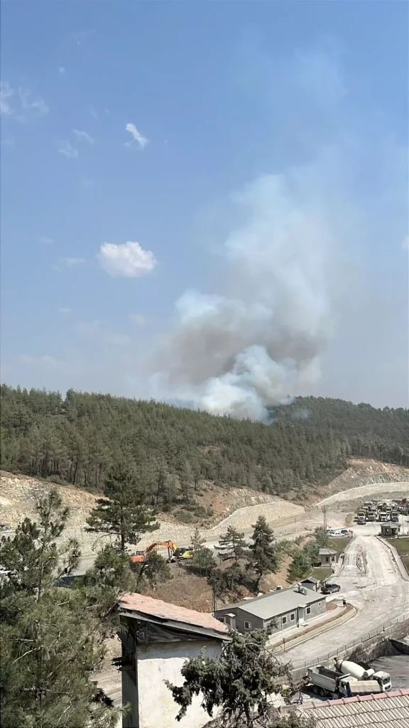 Yangın Kabusu Geri Döndü: Bursa ve Aydın’da Alevler Yükseldi