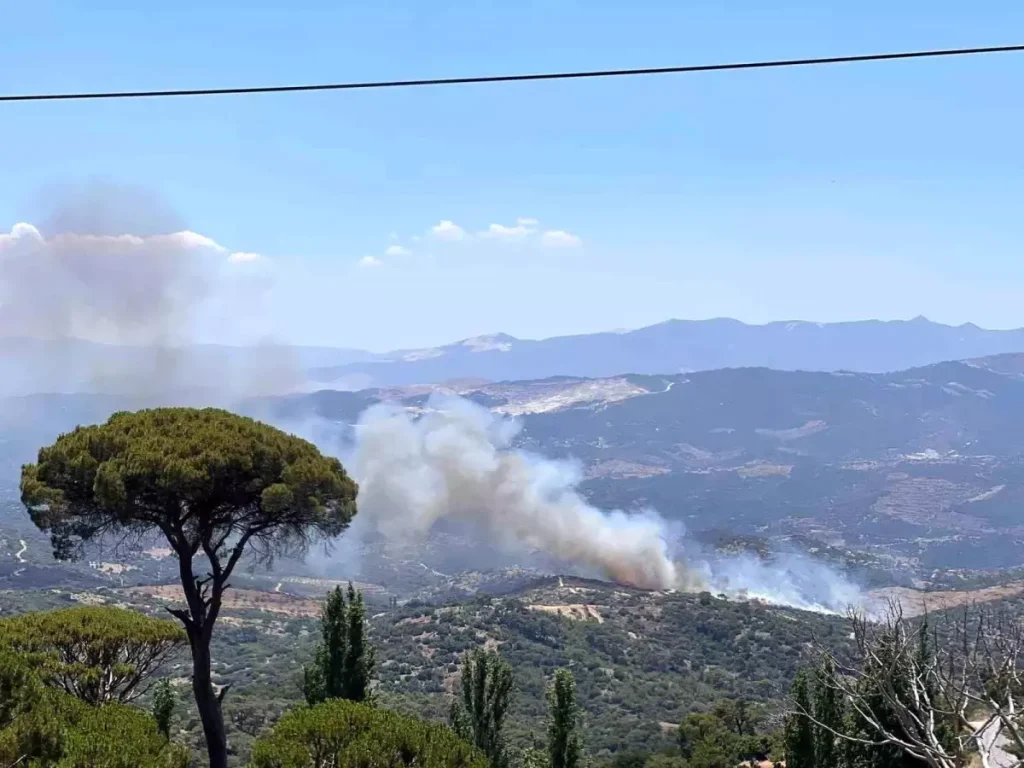 Aydın Çine’de Zeytinlik Yangınına Büyük Müdahale