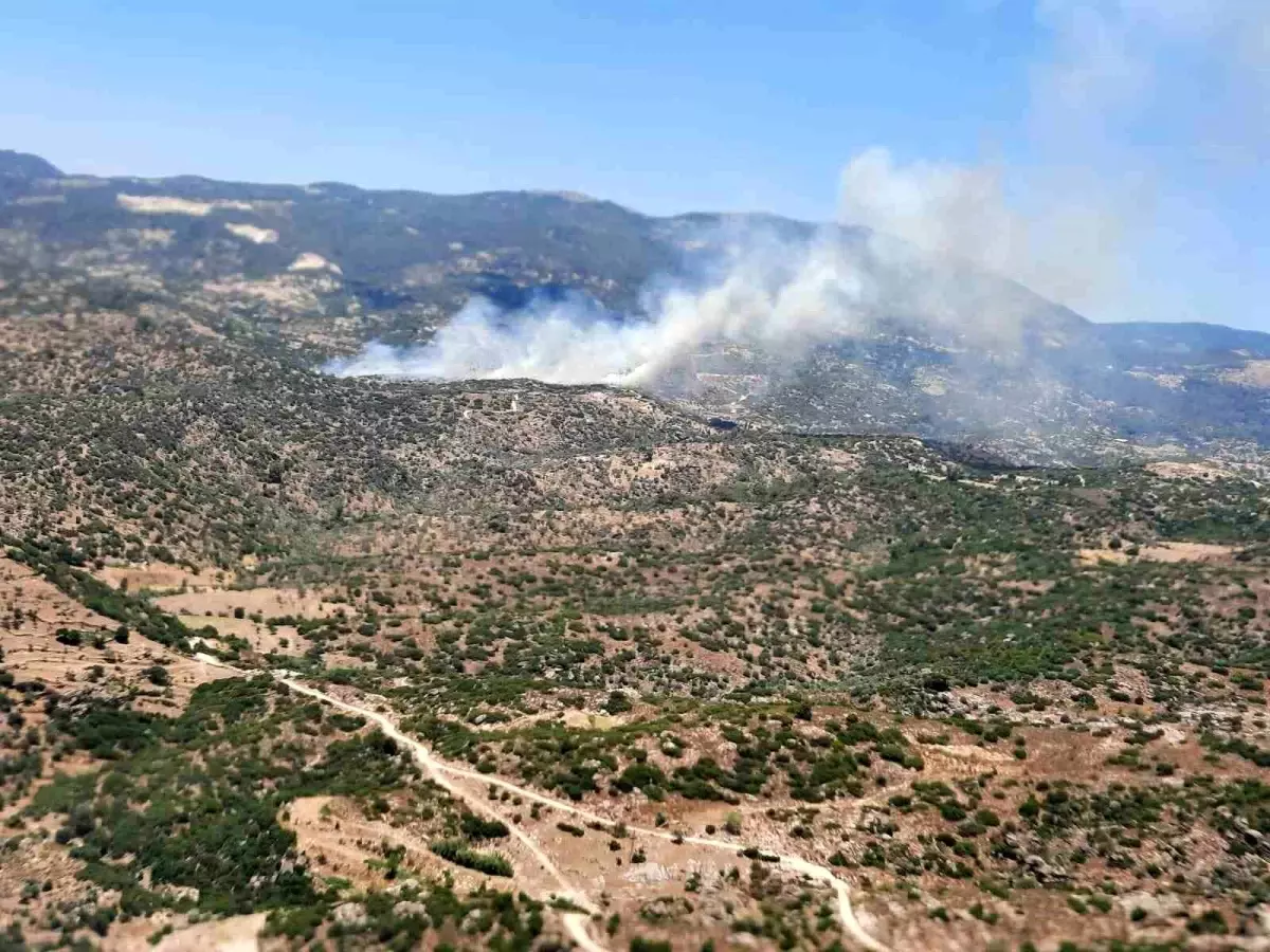 Zeytinlik Yangını Kontrol Altına Alındı