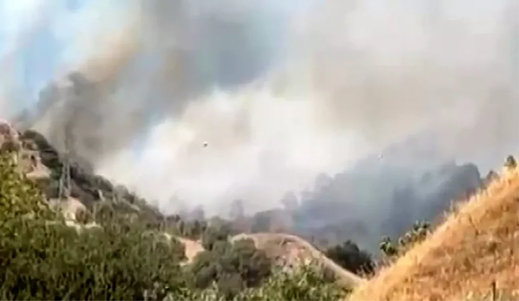 Aydın Efeler’de Zirai Alan Yangını Kontrol Altına Alınmaya Çalışılıyor