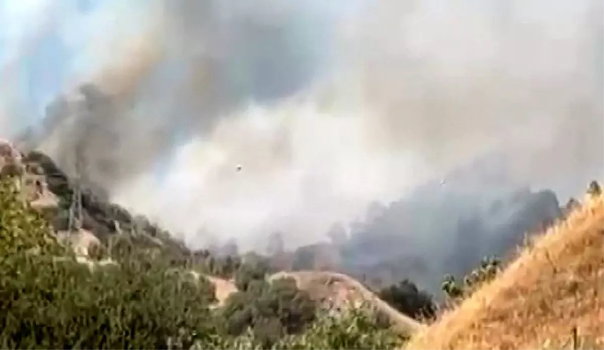 Aydın Efeler’de Zirai Alan Yangını Kontrol Altına Alınmaya Çalışılıyor