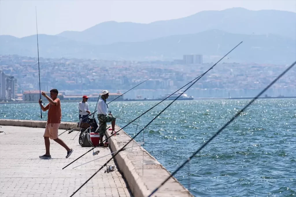 Kırsalın Boşalması, Sahillerin Terkedilmesi