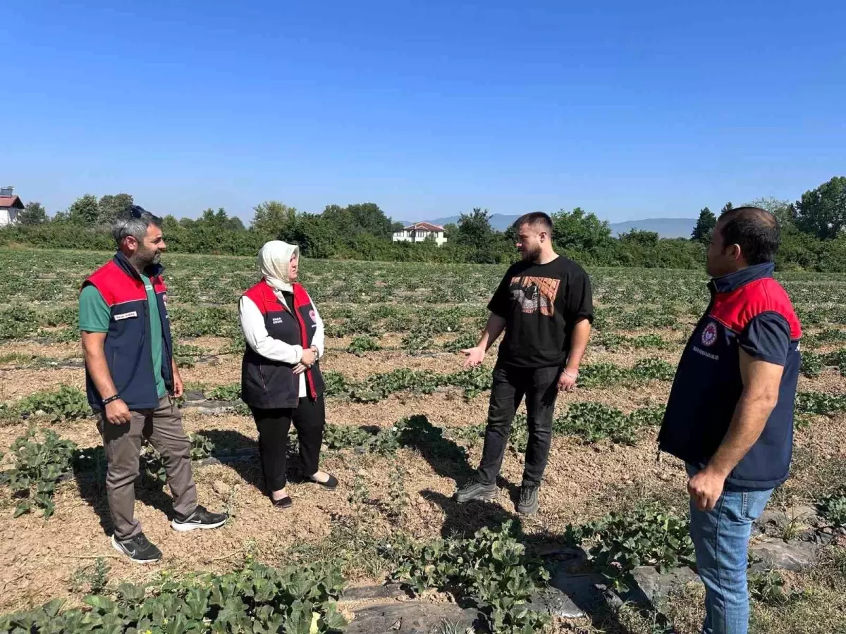 Düzce’de Genç Çiftçinin Başarılı Tarım Projesi