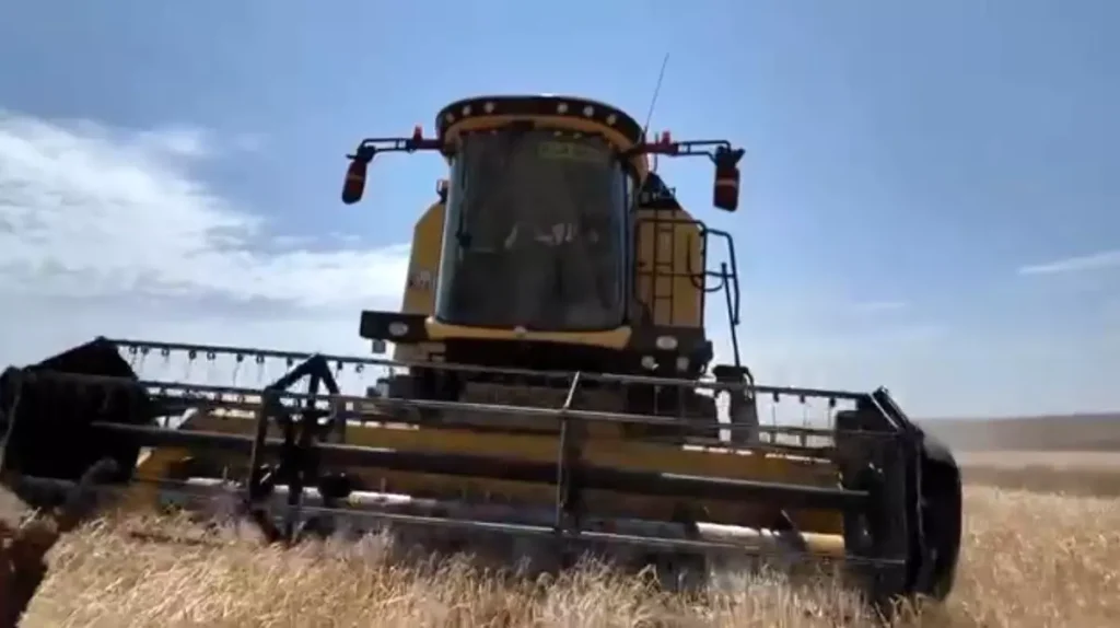 Kars’ta Hasat Mevsimi Bereketle Başladı