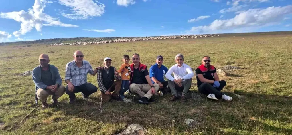 Kars Tarım ve Orman Müdürü Aydın, Yaylalarda İncelemelerde Bulundu