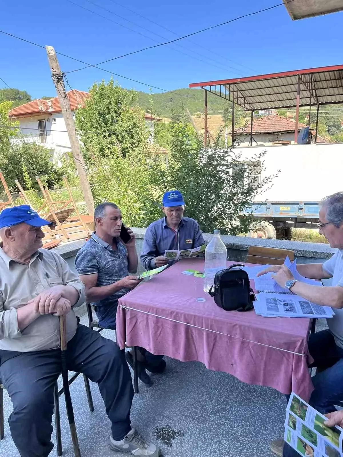Tarım Müdürlüğü’nden Domates ve Kestane Uyarıları