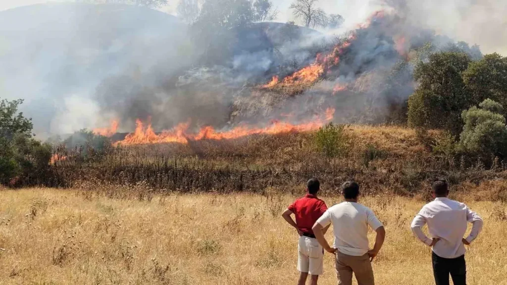 Nazilli’de Zirai Yangın Kontrol Altına Alındı