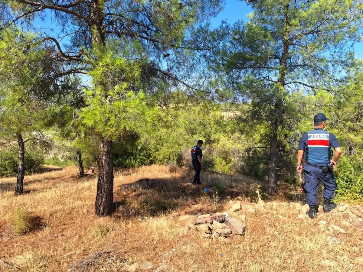 Orman Yangınlarına Karşı Etkili Denetimler