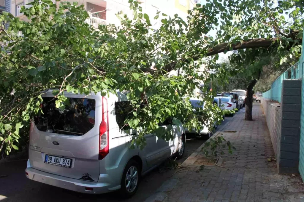 Ağaç Devrildi, Park Halindeki Araç Hasarlandı
