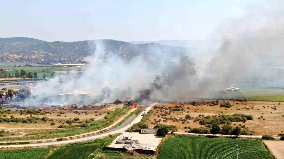 Yangın Kontrol Altına Alındı: Hayvan Çiftliği Tehlikeden Kurtarıldı