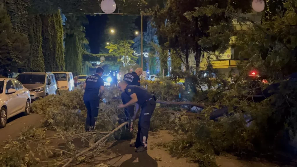Motosiklet Sürücüsüne Ağaç Dalları Düştü
