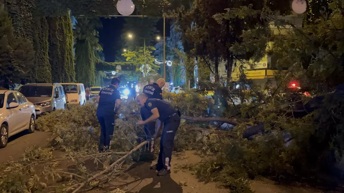 Motosiklet Sürücüsüne Ağaç Dalları Düştü
