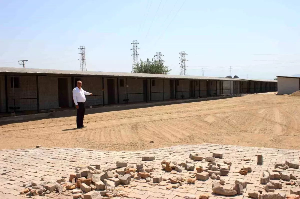 Sultanhisar’da Hayvan Barınağı Projesi Hızla İlerliyor