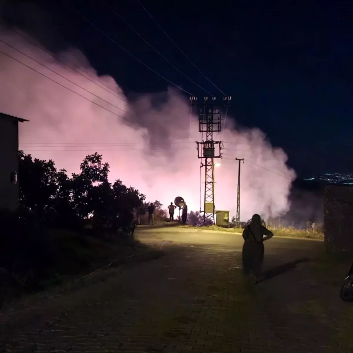 Zeytinlik Yangını Vatandaşların İlk Müdahalesiyle Söndürüldü