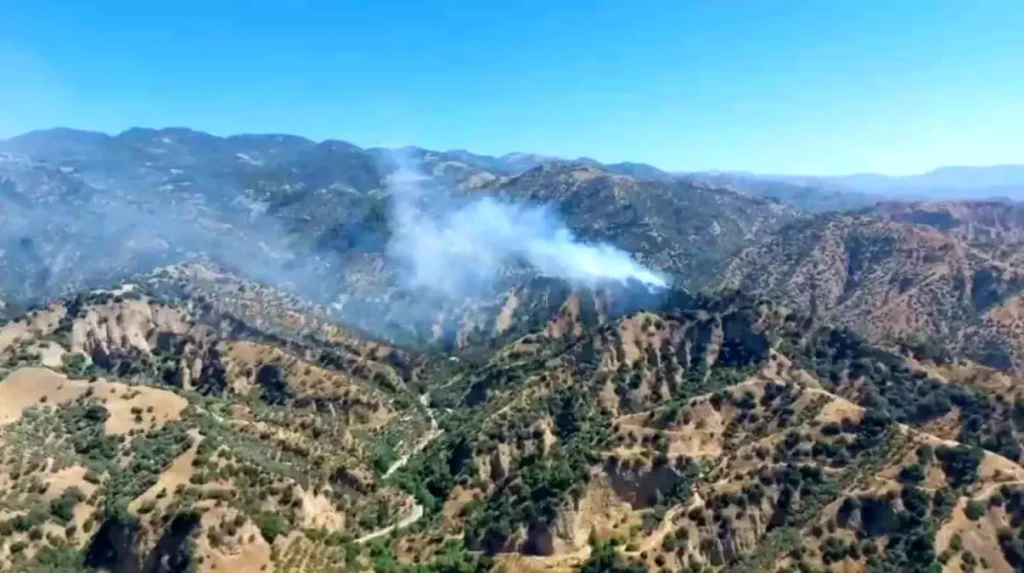 Aydın’da Zeytinlik Alan Yangınına Havadan ve Karadan Müdahale