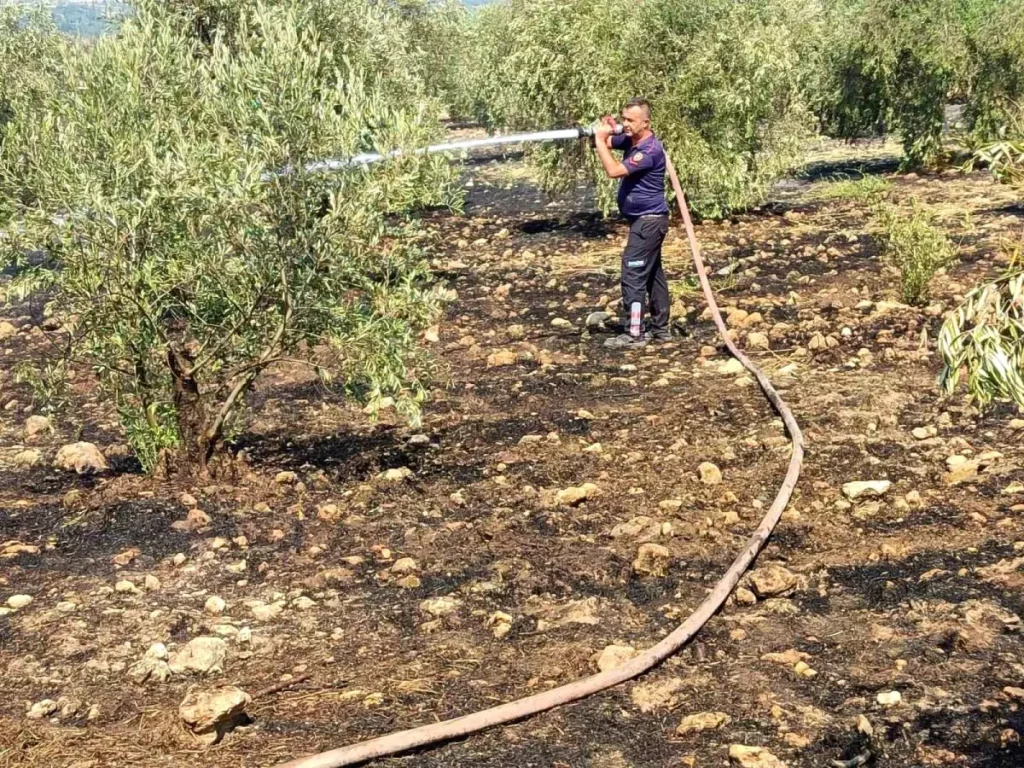 Zeytinlik Yangını Kontrol Altına Alındı